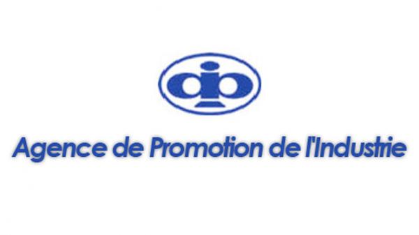 logo-APII-TUNISIE-AGENCE-DE-PROMOTION-DE-LINDUSTRIE-ET-DE-LINNOVATION