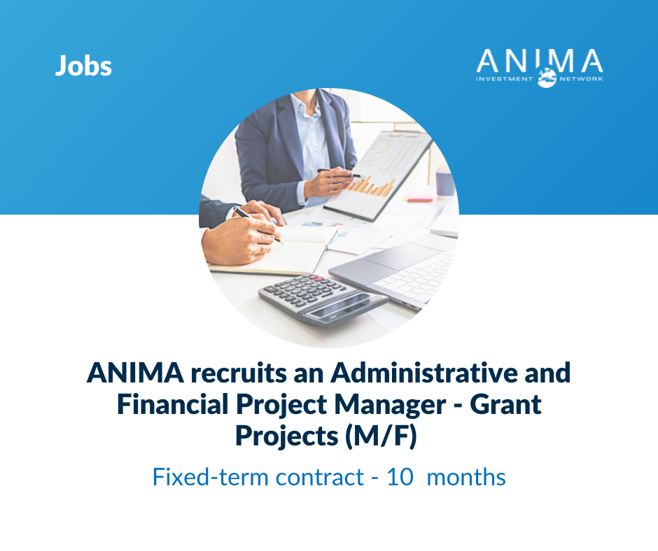 Administrative and Financial Project Manager