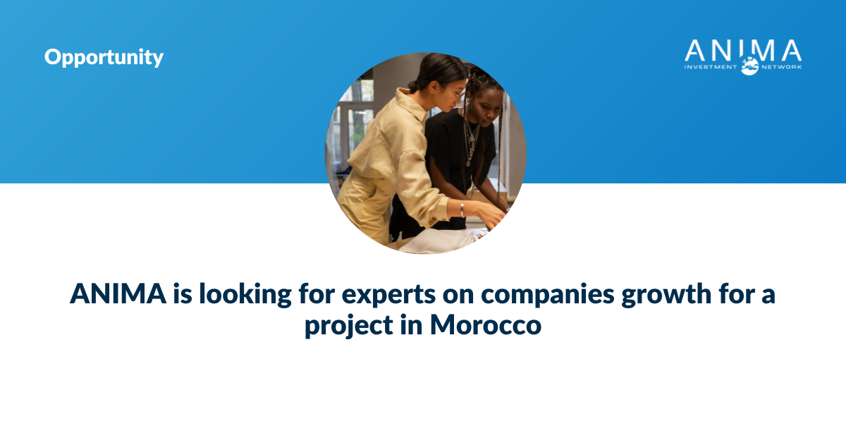 expert morocco