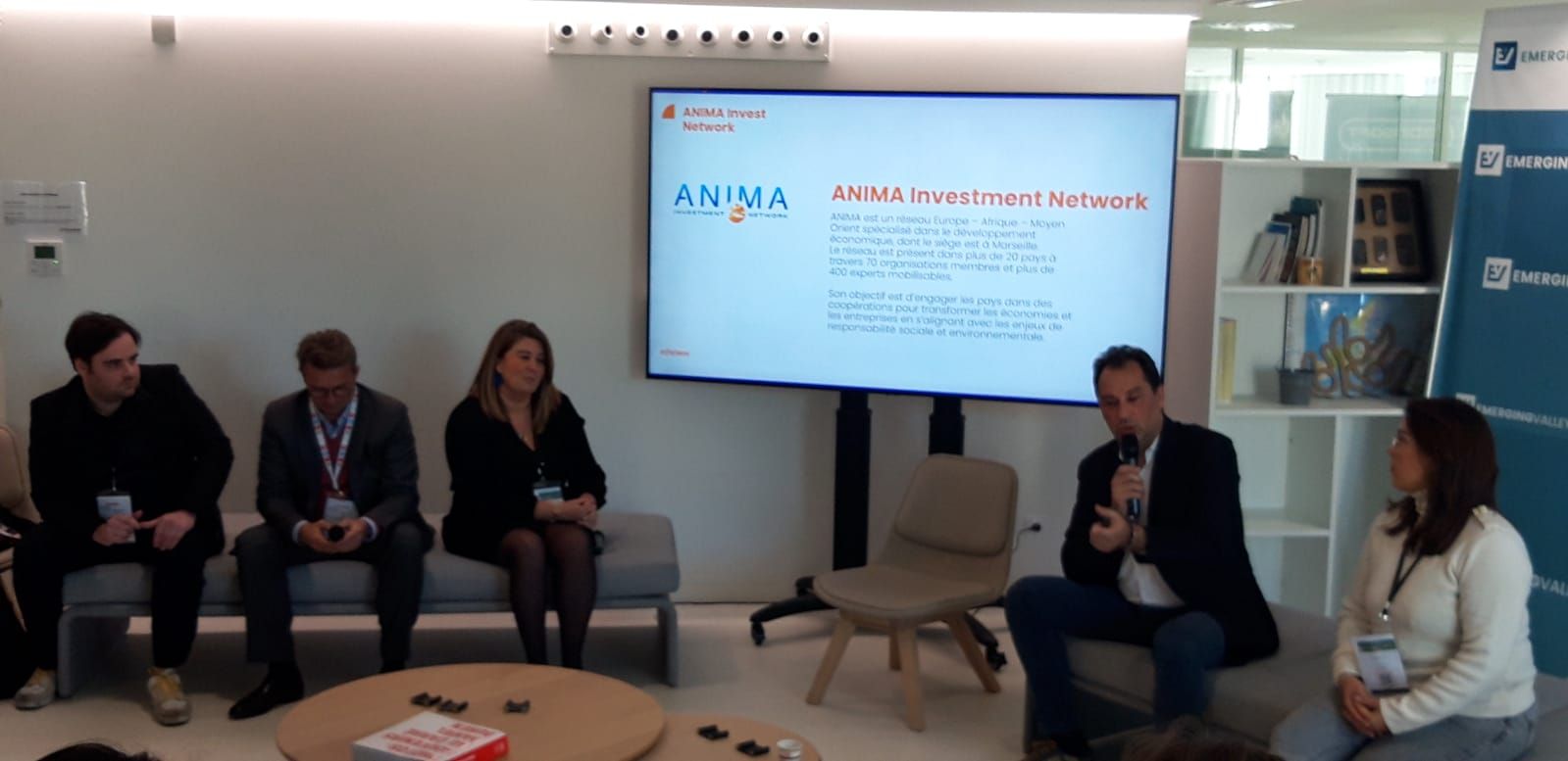 anima emerging valley