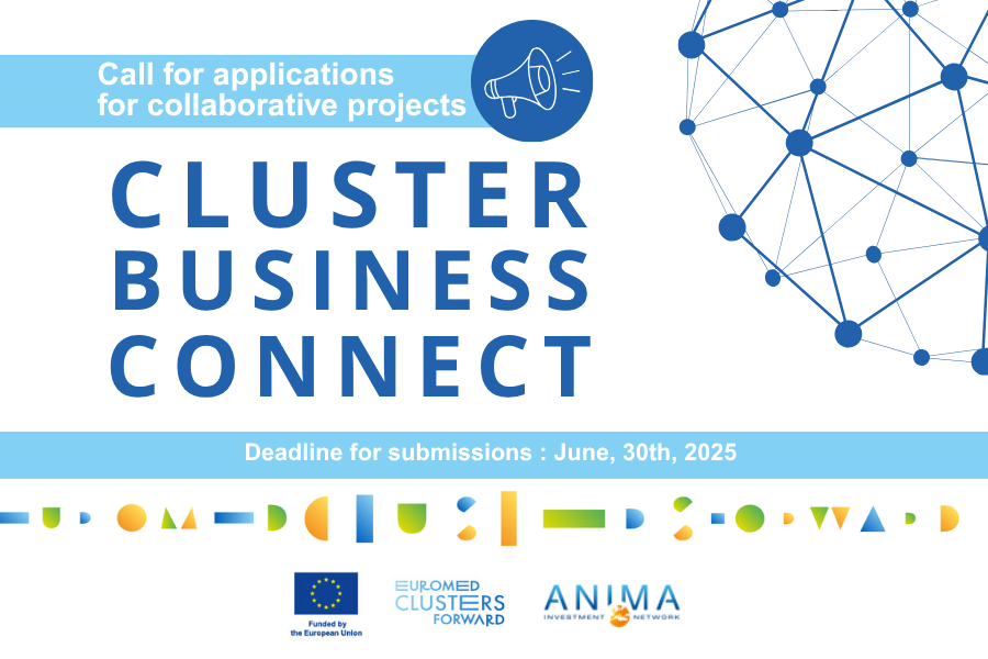 ECF_Visuel_Cluster_Business_Connect_CALL_June2025