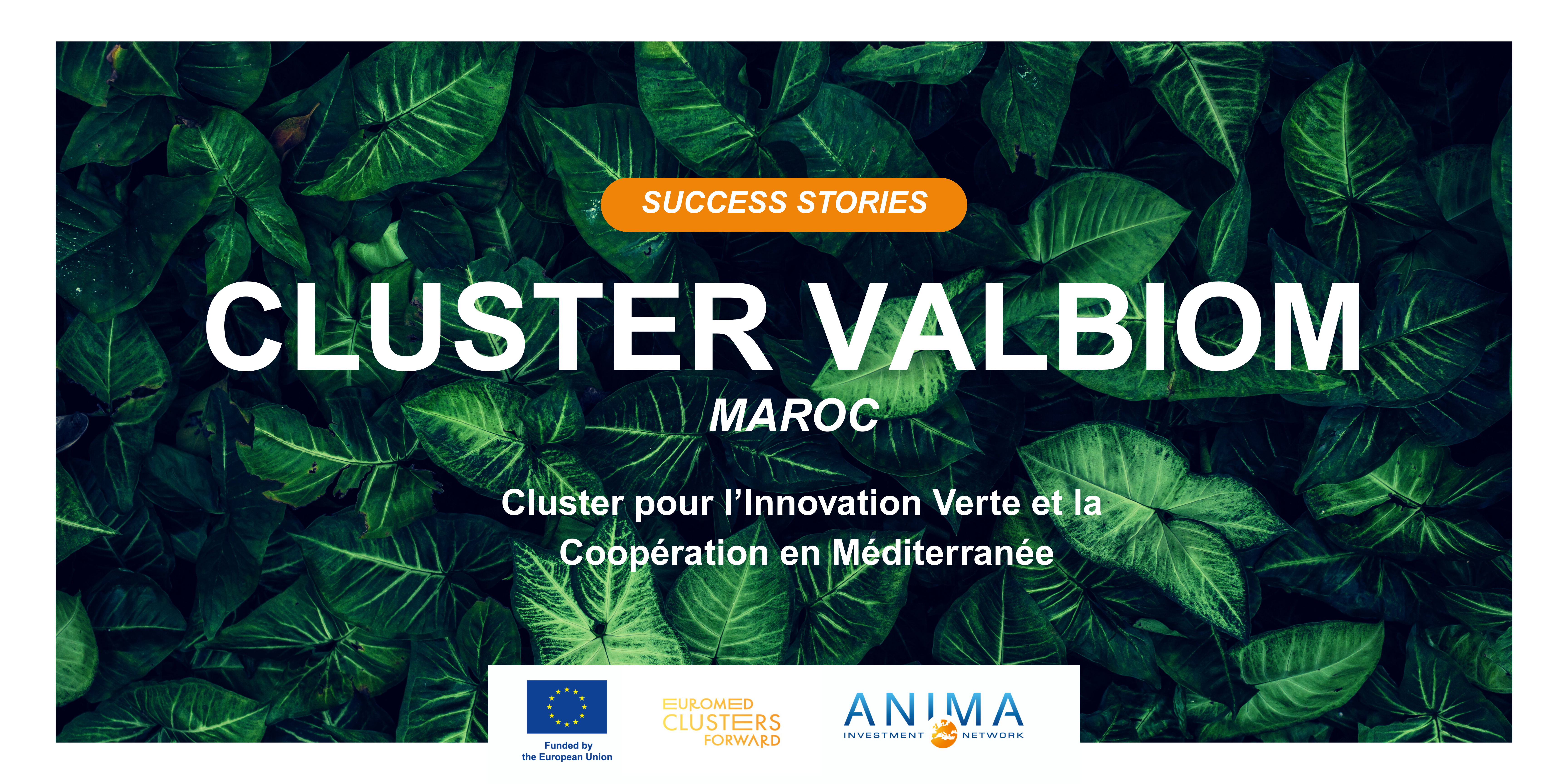 cluster-valbiom-maroc-FR-anima