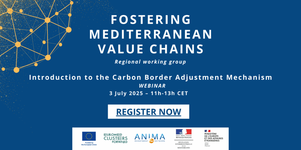 webinar-introduction-to-the-carbon-border-adjustment-mechanism