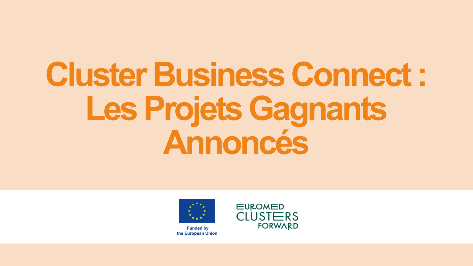 Cluster-Business-Connect