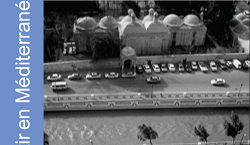 Investissements directs étrangers et partenariats vers les pays MED en 2009 - etude 14 avril 2010