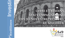 Acccompaniment needs and offers for young entrepreneurs in the Maghreb - study 29 june 2010