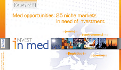 25 niches markets in needs of investment in the Mediterranean - study 8 february 2010