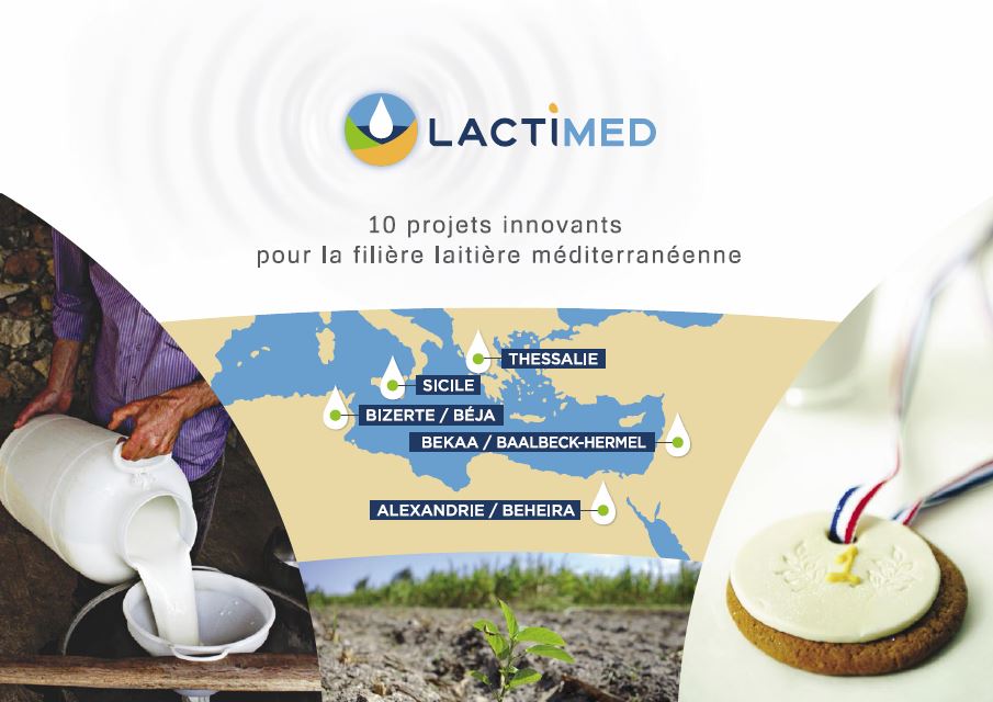 Du lait, du beurre, des champs et les territoires LACTIMED