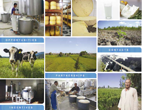 Investir en Egypte, maître fromager, fromage et les terrains 