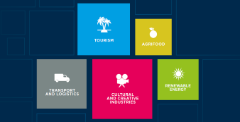 Sectors of EUROMED Invest project