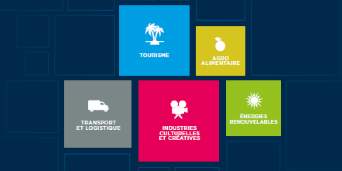 Cadres de couleurs avec secteurs activité EUROMED Invest