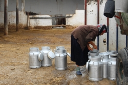 Une femme travaille dans une ferme