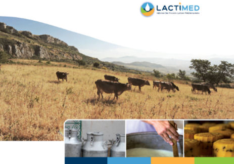 Landscape, milk, cheese, cows and LACTIMED logo