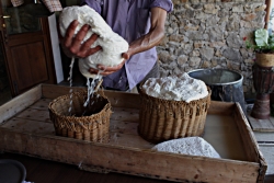 Processus de fabrication du fromage 