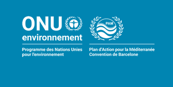 Logo ONU Environnement