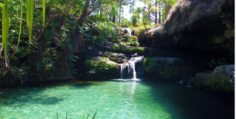 exotic landscape in Madagascar