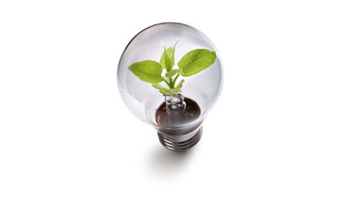 Promoting Innovation in the Mediterranean